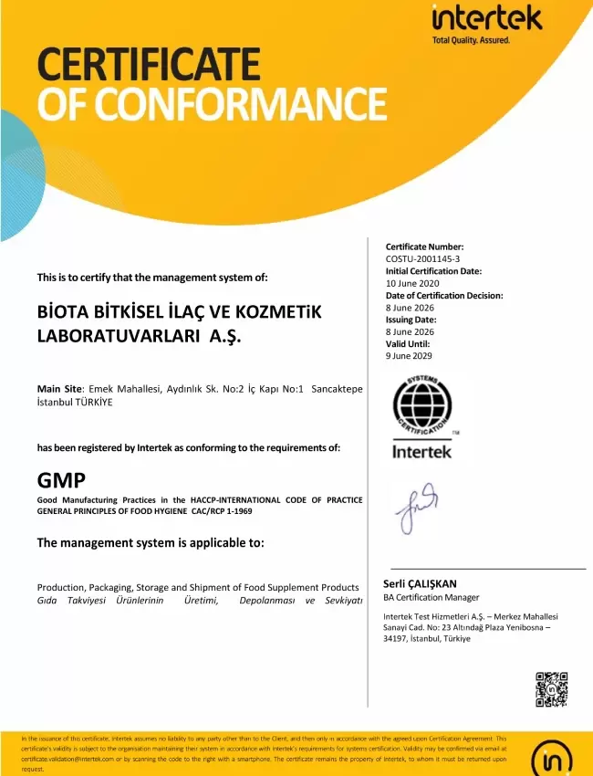  GMP