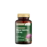 Milk Thistle
