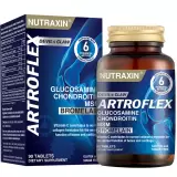 Artroflex