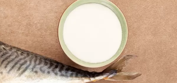 Balık Kolajeninin Diğer Kolajenlerden Farkı Ne?