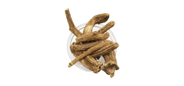Kusti Bahri Nedir?