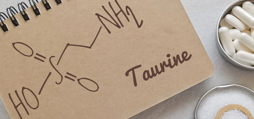 Taurin Nedir? Ne İşe Yarar?