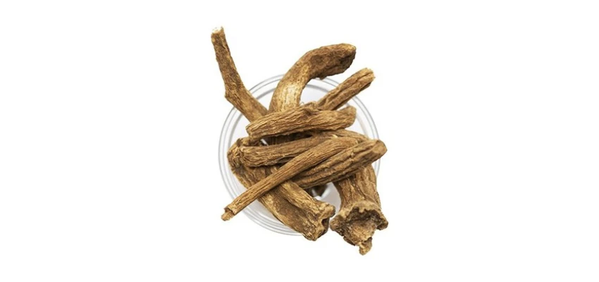 Kusti Bahri Nedir?