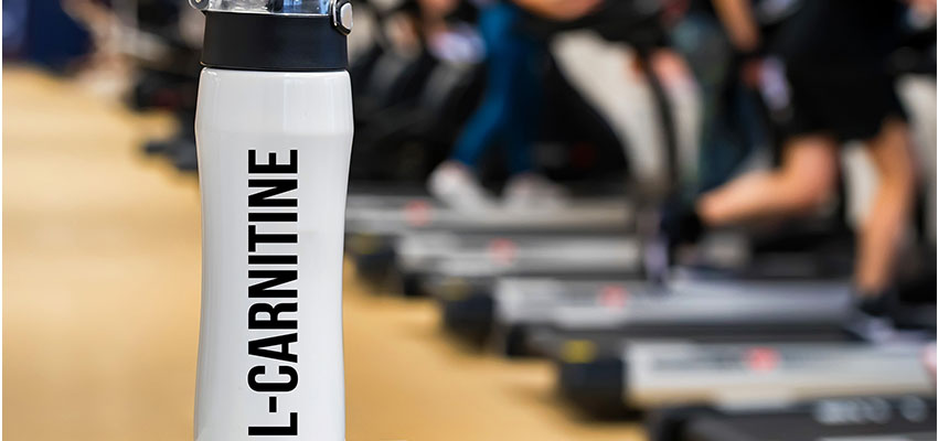 L-Carnitine Nedir Ve Ne İşe Yarar?